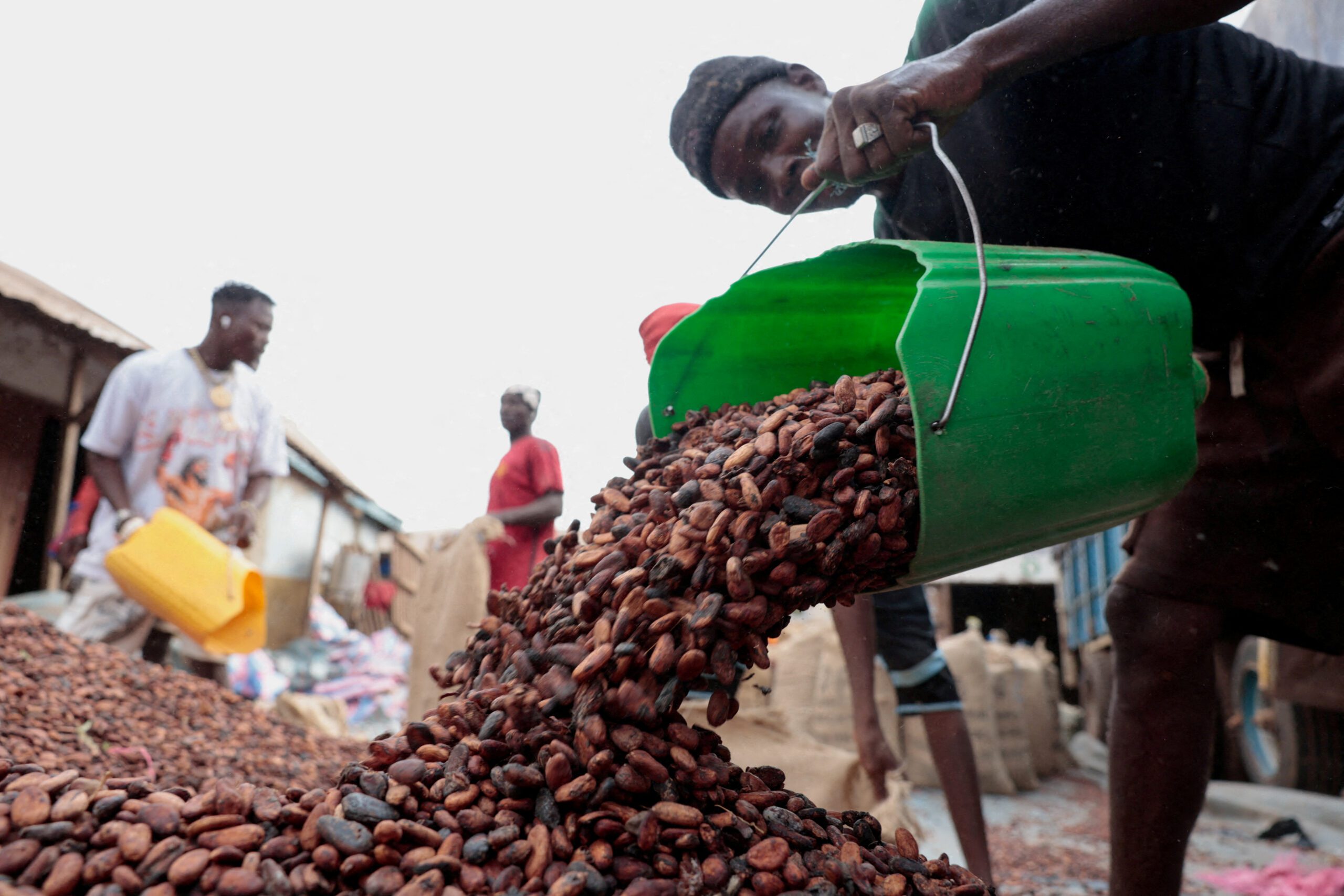 Ivory Coast considers following Ghana with cocoa price cut, sources say 